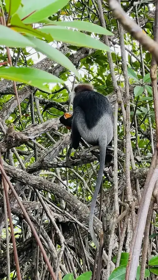 Wildlife experience